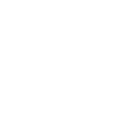 whitelogoicon